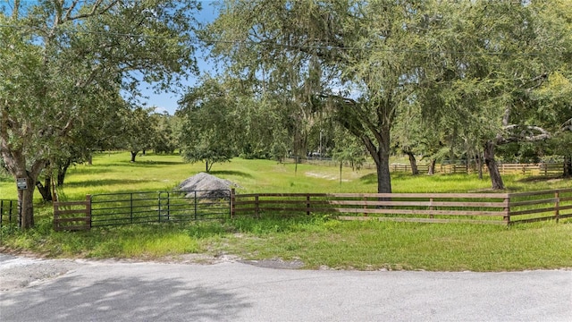 12541 Little Pete, Hudson, FL 34669 - photo 2