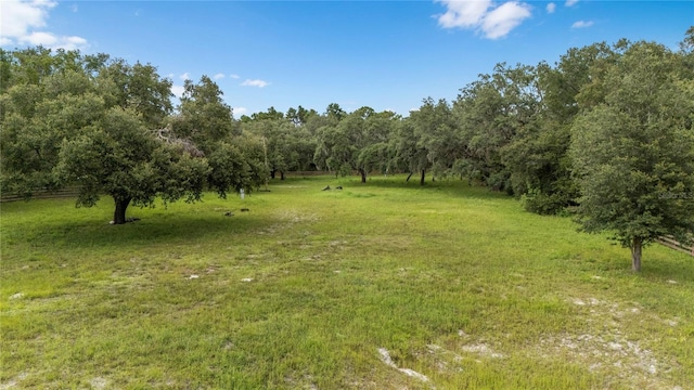 12541 Little Pete, Hudson, FL 34669 - photo 5