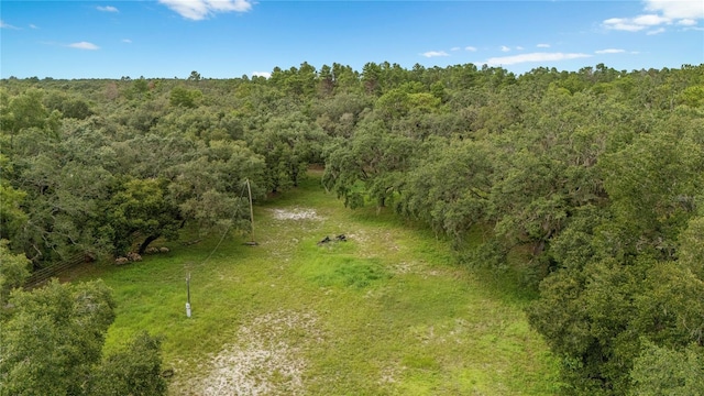 12541 Little Pete, Hudson, FL 34669 - photo 7