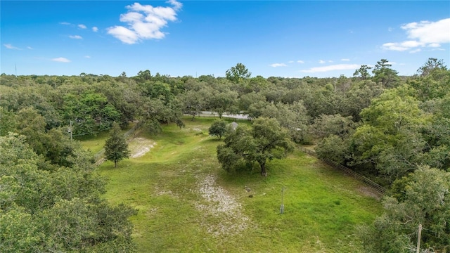 12541 Little Pete, Hudson, FL 34669 - photo 9