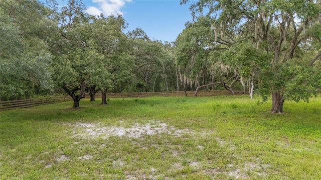 12541 Little Pete, Hudson, FL 34669 - photo 10