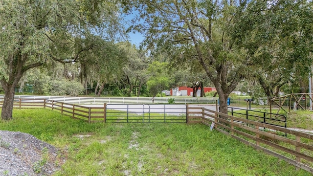 12541 Little Pete, Hudson, FL 34669 - photo 19