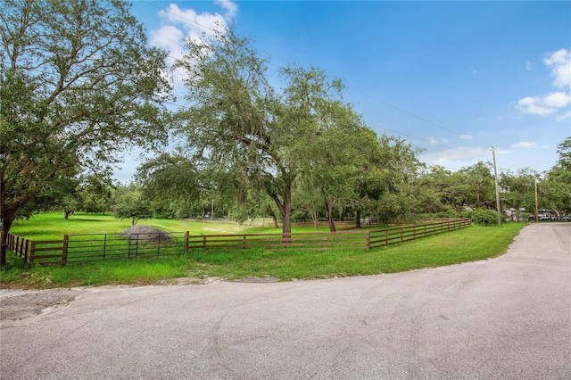 12541 Little Pete, Hudson, FL 34669 - photo 20