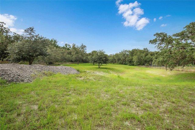 12541 Little Pete, Hudson, FL 34669 - photo 22