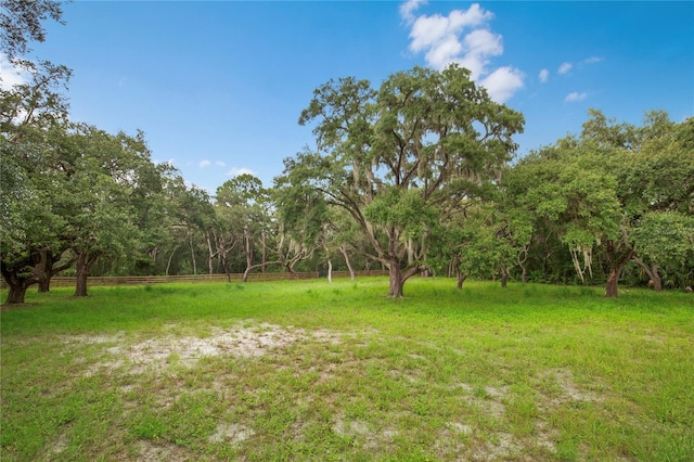 12541 Little Pete, Hudson, FL 34669 - photo 27