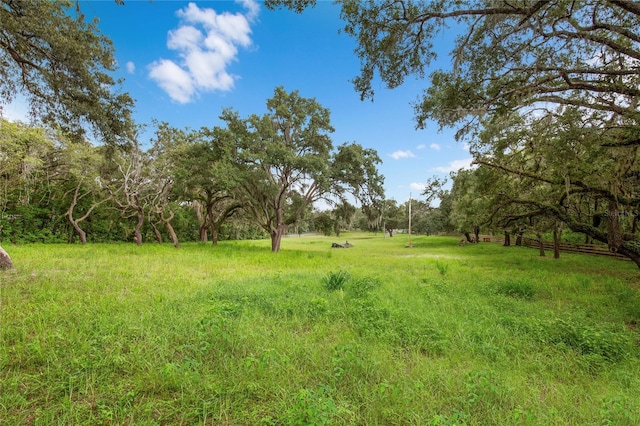 12541 Little Pete, Hudson, FL 34669 - photo 28
