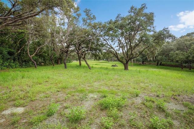 12541 Little Pete, Hudson, FL 34669 - photo 30