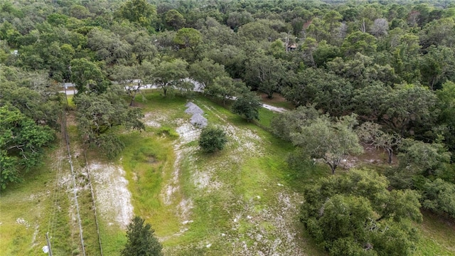 12541 Little Pete, Hudson, FL 34669 - photo 32