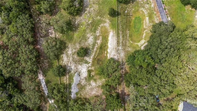 12541 Little Pete, Hudson, FL 34669 - photo 33