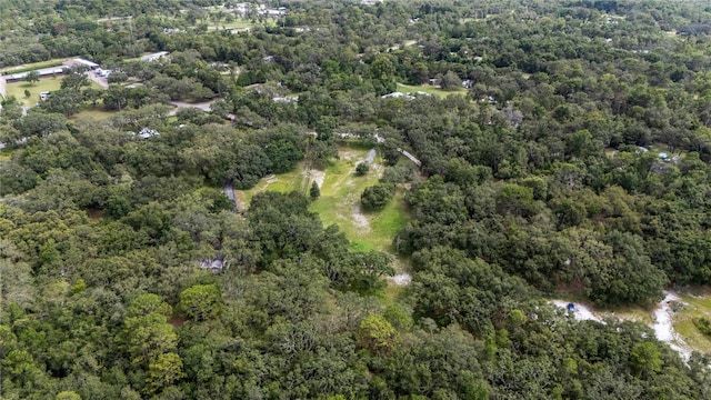 12541 Little Pete, Hudson, FL 34669 - photo 34