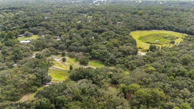 12541 Little Pete, Hudson, FL 34669 - photo 36