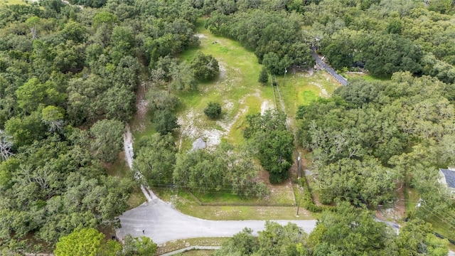 12541 Little Pete, Hudson, FL 34669 - photo 40