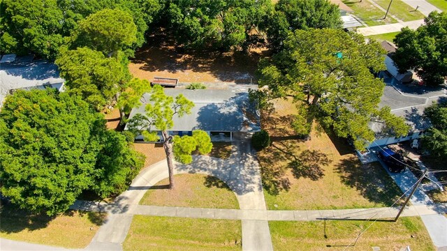 303 Shore Dr W, Oldsmar, FL 34677 - photo 3