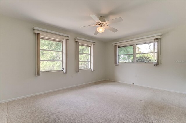 303 Shore Dr W, Oldsmar, FL 34677 - photo 23