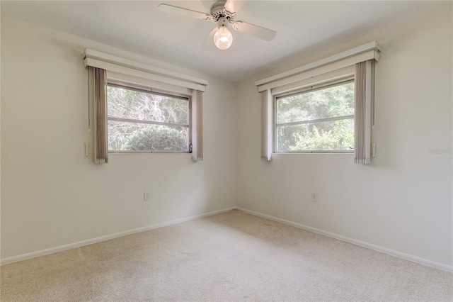 303 Shore Dr W, Oldsmar, FL 34677 - photo 27