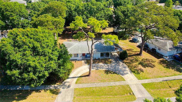 303 Shore Dr W, Oldsmar, FL 34677 - photo 50