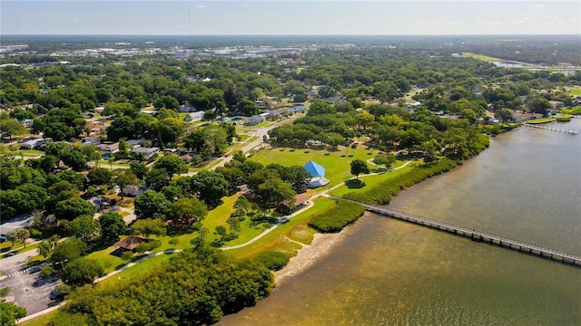 303 Shore Dr W, Oldsmar, FL 34677 - photo 54
