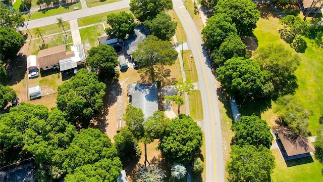 303 Shore Dr W, Oldsmar, FL 34677 - photo 55
