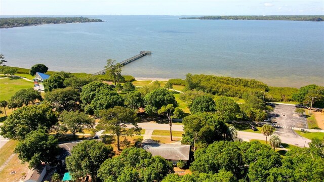 303 Shore Dr W, Oldsmar, FL 34677 - photo 56