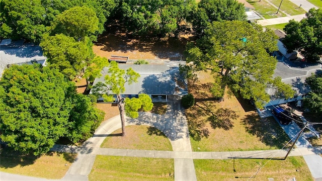 303 Shore Dr W, Oldsmar, FL 34677 - photo 62