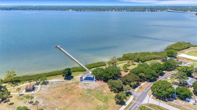 303 Shore Dr W, Oldsmar, FL 34677 - photo 70