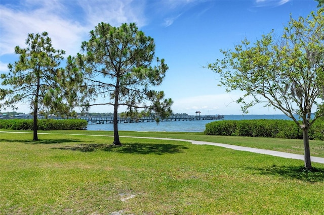 303 Shore Dr W, Oldsmar, FL 34677 - photo 73