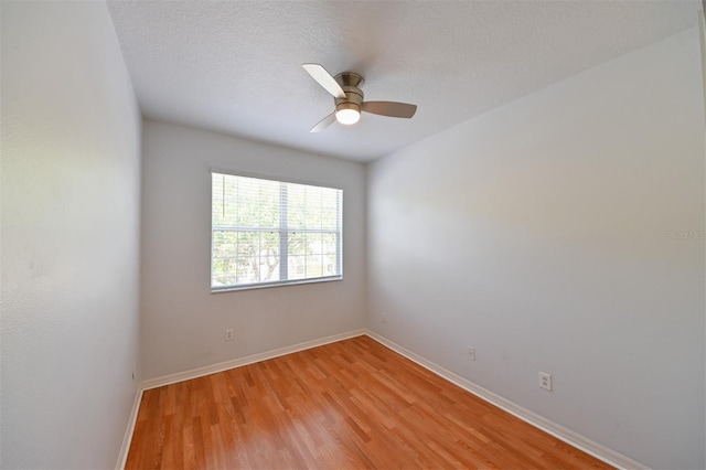 8171 Stone View Dr, Tampa, FL 33647 - photo 31