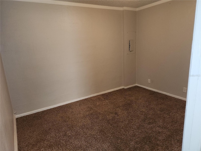 4009 Forecast Dr, Brandon, FL 33511 - spare room with dark colored carpet and a textured ceiling