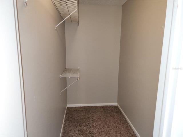 4009 Forecast Dr, Brandon, FL 33511 - spacious closet with carpet floors