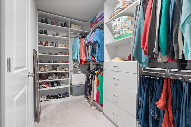 10618 Daybreak Gln, Parrish, FL 34219 - walk in closet with carpet