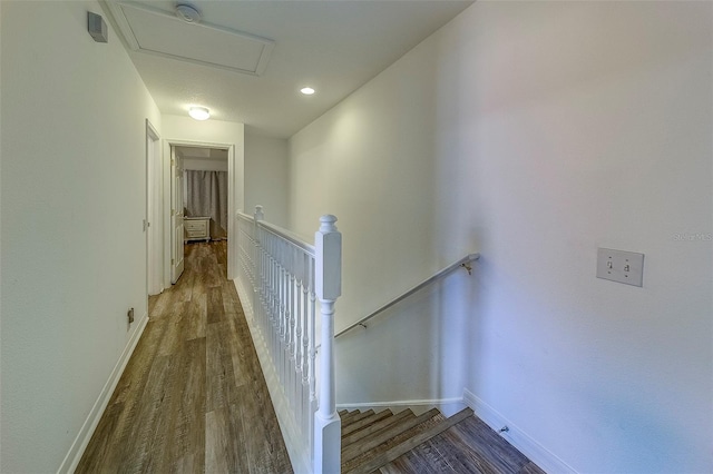 2564 Hidden Cove Ln, Clearwater, FL 33763 - photo 22