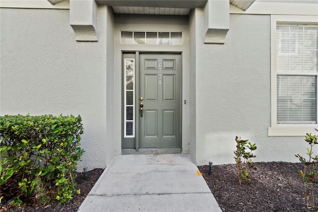 6734 Breezy Palm Dr, Riverview, FL 33578 - doorway to property with stucco siding