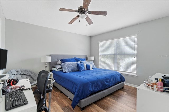 6734 Breezy Palm Dr, Riverview, FL 33578 - bedroom with wood finished floors and a ceiling fan