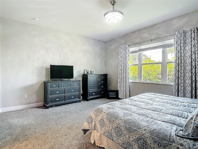 8313 Old Town Dr, Tampa, FL 33647 - photo 16