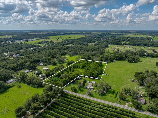 41245 Melrose Ave, Zephyrhills, FL 33540 - photo 1