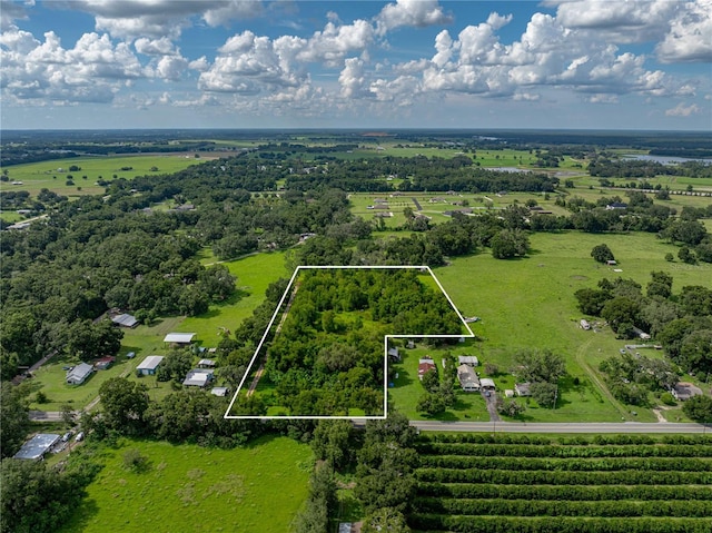 41245 Melrose Ave, Zephyrhills, FL 33540 - photo 3