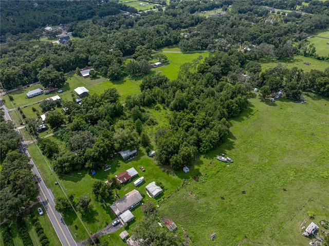 41245 Melrose Ave, Zephyrhills, FL 33540 - photo 12