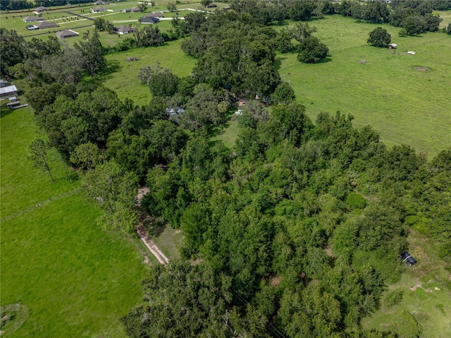 41245 Melrose Ave, Zephyrhills, FL 33540 - photo 13