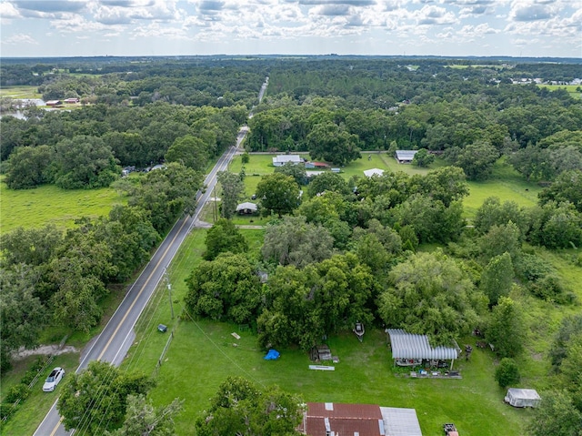 41245 Melrose Ave, Zephyrhills, FL 33540 - photo 16