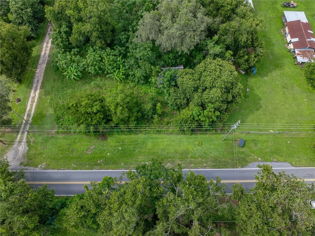 41245 Melrose Ave, Zephyrhills, FL 33540 - photo 17