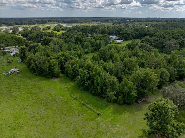41245 Melrose Ave, Zephyrhills, FL 33540 - photo 18