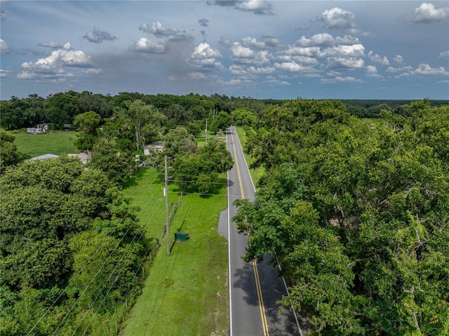 41245 Melrose Ave, Zephyrhills, FL 33540 - photo 20