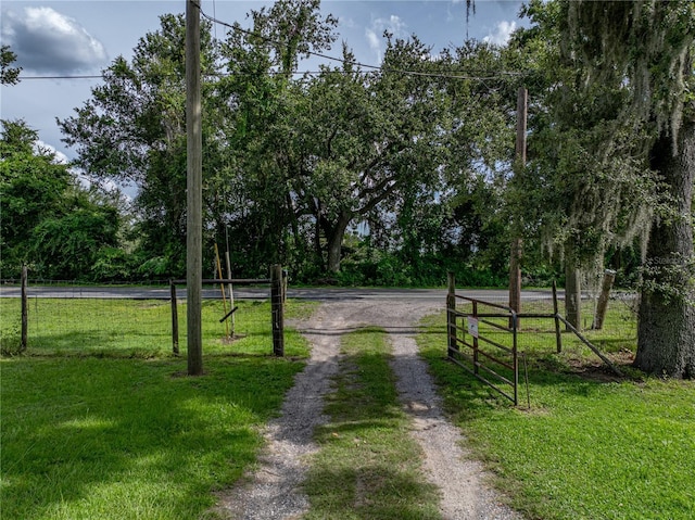 41245 Melrose Ave, Zephyrhills, FL 33540 - photo 24