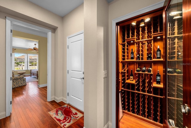 703 Islebay Dr, Apollo Beach, FL 33572 - wine cellar with hardwood / wood-style flooring and a ceiling fan