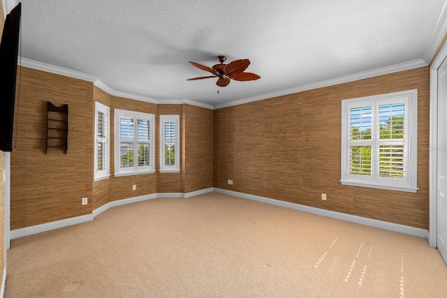703 Islebay Dr, Apollo Beach, FL 33572 - spare room with ceiling fan, light colored carpet, ornamental molding, and a textured ceiling