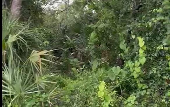 Ragen St, North Port, FL 34287 - photo 5