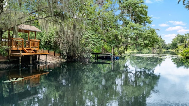 14406 Middlefield Ln, Odessa, FL 33556 - photo 43