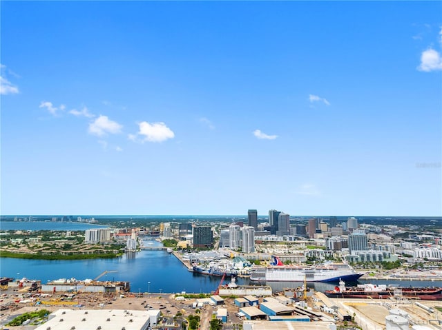 2012 Flagler St, Tampa, FL 33605 - photo 49
