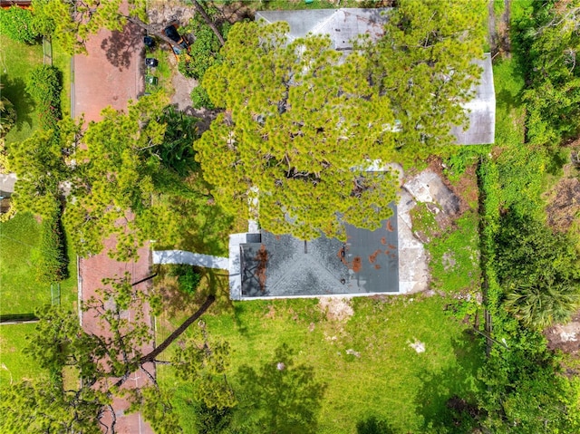 2012 Flagler St, Tampa, FL 33605 - photo 52