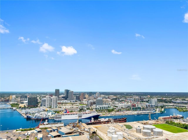 2012 Flagler St, Tampa, FL 33605 - photo 64